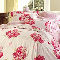 ů�ģ�FMTY001-4��