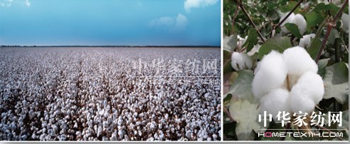 ���N�������N��һ�w�� ��(chu��ng)����Ҽ��wϵ