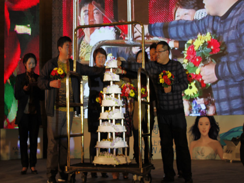 �Pʢ���{�{paisley��׌�����v�w