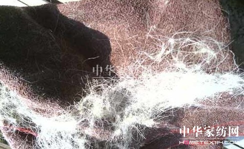 �t��ʿ�Ҽ��|(zh��)���T����Σ�