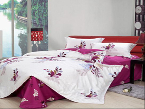 �_ܽ�ݼҼ��o�S�Ļ��r�в���