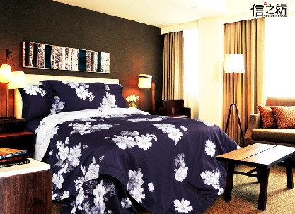 ��֮���Ҽ�׷��ԭ��(chu��ng)�OӋ���_��