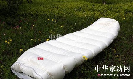 �G��ɫ��˯��ӭ��ɫ����������