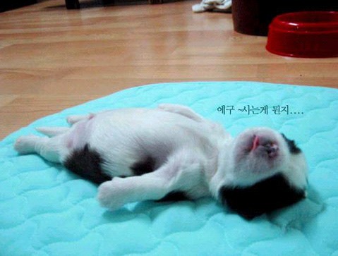 �H�������˯һС�r(sh��)����