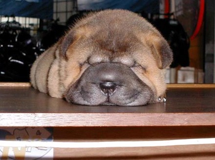 �H�������˯һС�r(sh��)����