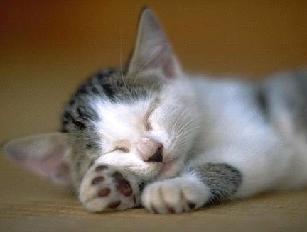 �H�������˯һС�r(sh��)����