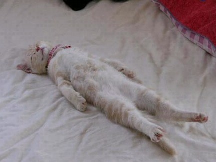 �H�������˯һС�r(sh��)����