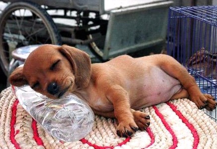 �H�������˯һС�r(sh��)����