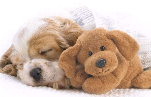 �H�������˯һС�r(sh��)����