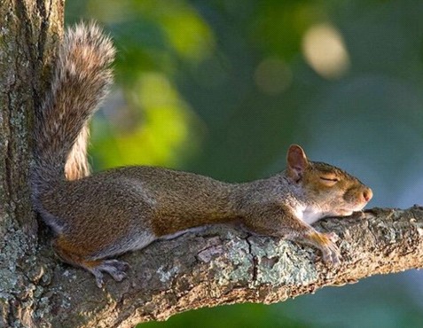 �H�������˯һС�r(sh��)����