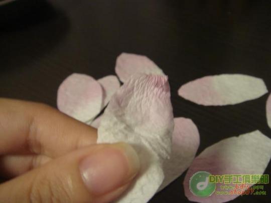 ������õ�廨