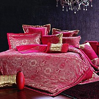 ������ɯ