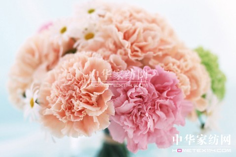 ĸ�H��(ji��)��׌�Ҽ����o������˯��