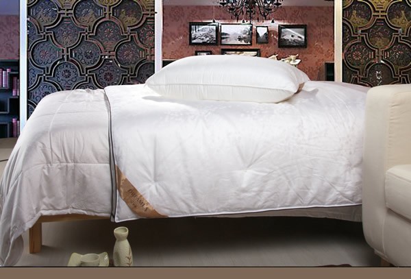 ��ܰ�Ӊ�(m��ng)�R�ж�ĸ�H��(ji��)