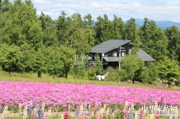 ����Ҽ���푡����ڲ��������ϱ����������(d��ng)������