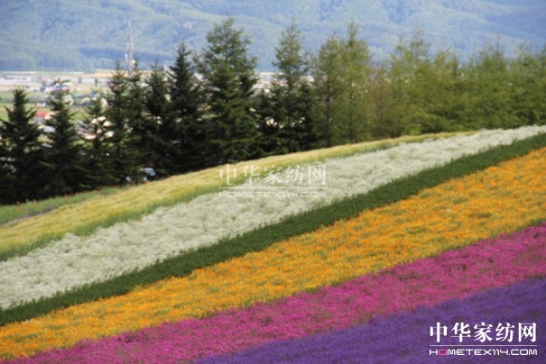 ����Ҽ���푡����ڲ��������ϱ����������(d��ng)������