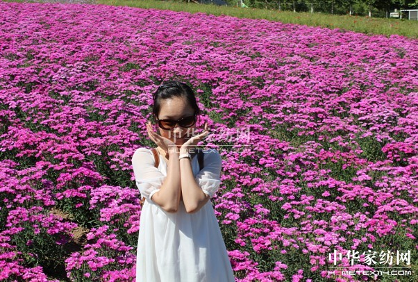 ����Ҽ���푡����ڲ��������ϱ����������(d��ng)������