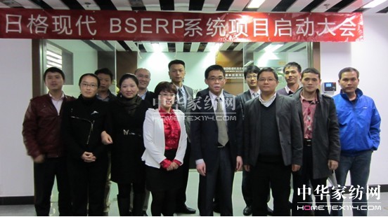 ���Z(y��)BSERP�(xi��ng)Ŀ����(d��ng)���(hu��)�����e��