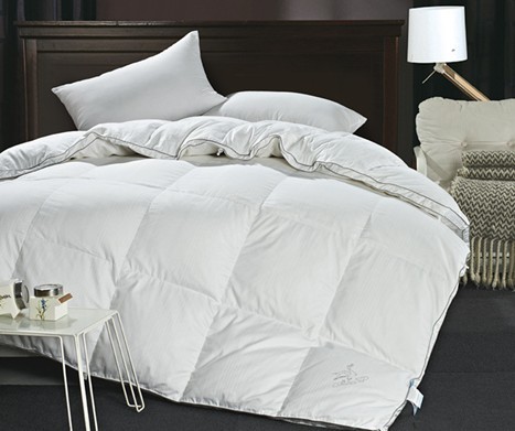 �{(l��n)�z��Ҽ�������q��С֪�R(sh��)