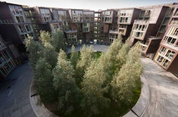 ����W(xu��)�����`�Ё����Ї�(gu��)����(��)