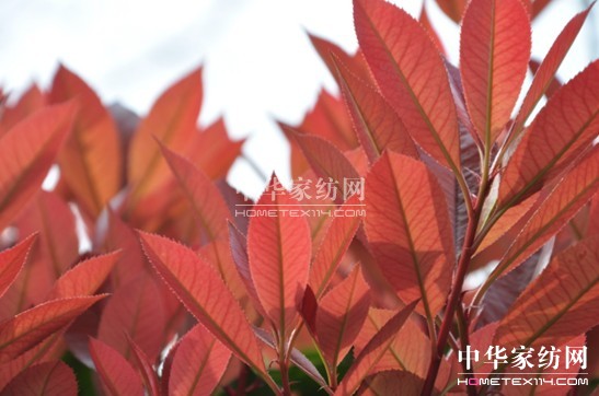 ���z������էů��(��i)�����C(j��)