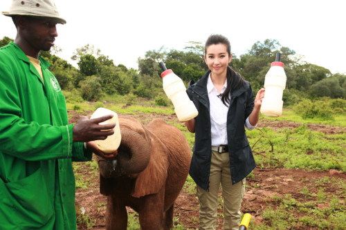 ���������"׃��"�����h�����J(r��n)�B(y��ng)����