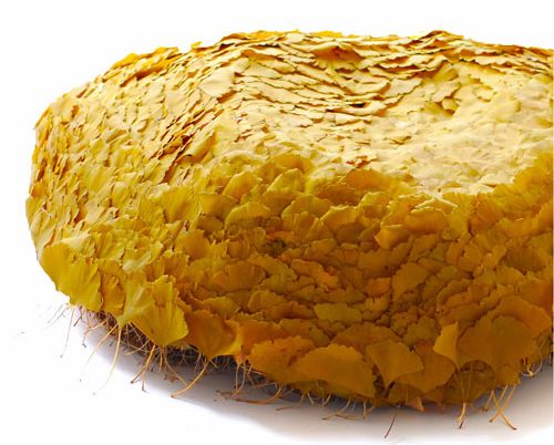 ���������y��ɳ�l(f��)