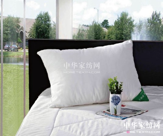 �����Бn�����߾���������˯��