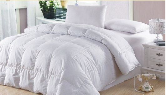 �Ҽ����B(y��ng)��(j��ng) ��q���ɱ��B(y��ng)