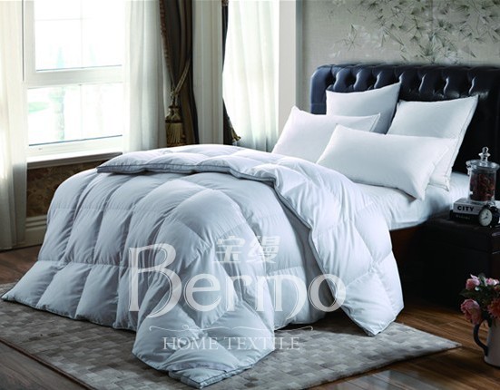 ���z�Ҽ�����¶���㡱��������