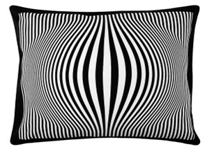 ���Ϻڰ�: ������ʮ��׃