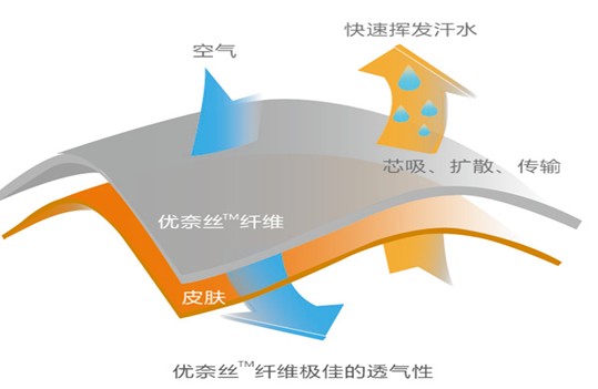 �{Ʒ�Ƽ��Ҽ����ô�Ʒ��(y��ng)��������