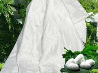 �����Q�z����(y��ng)ԓ��δ��