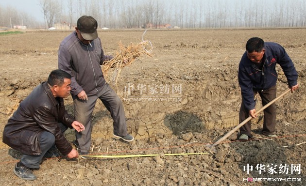 ���ýz�I�f�����B(t��i)ɣ�@�ƌW(xu��)��ɣ