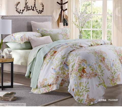 ҹ�������w���������