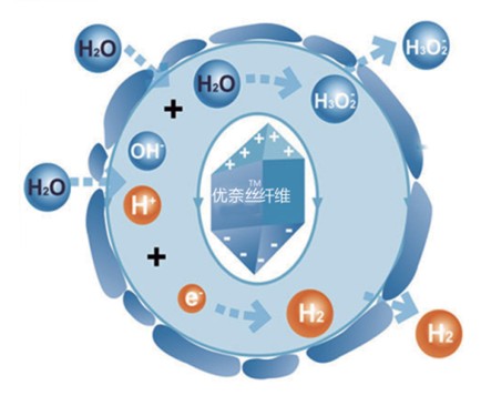 �{Ʒ�Ƽ���Ů�ԼҼ������o����