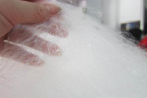 �L���|(zh��)���O(ji��n)�y(c��)������Q�z���˳ɲ��ϸ�