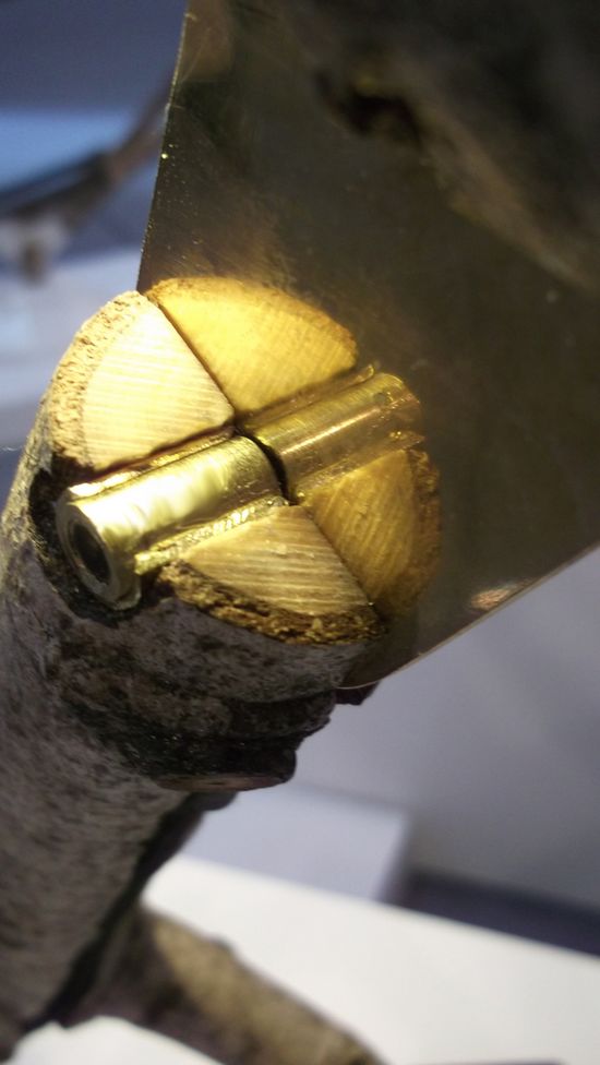 ��(chu��ng)����ߣ���֦����