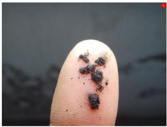 ����Q�z�����b�e��������Щ