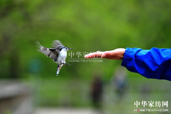 ��(d��o)ُ(g��u)��Ϋ@��͵����θ���