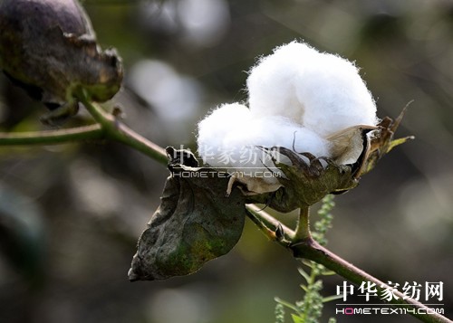 �Ҽ����R(sh��)��������Ʒ�����c(di��n)