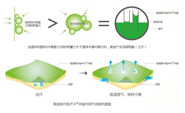 �ļ���Ʒ�o(h��)�B(y��ng)����ϴ��߀����