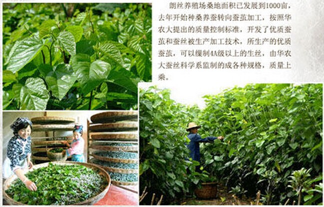 �ʽz�Ҽ����Q�z���ИI(y��)�l(f��)չ������I(y��)����