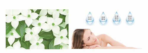 �{�׷���R���w�S������(qu��n)���z�y(c��)����ȫ�ɿ�