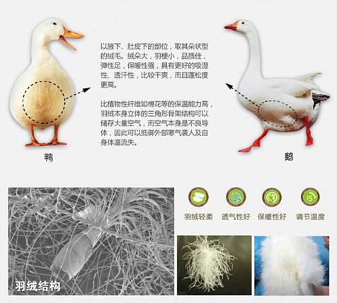 �W�ɼҼ����������u�������xُ��Ʒ����q��