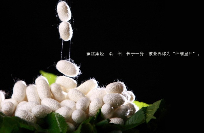 �Q�z���ărֵ����