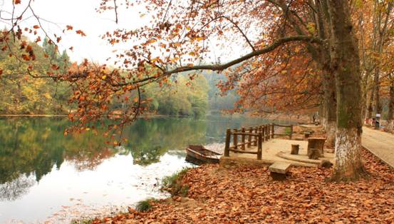 ɼɼ�Ҽ����@��(g��)���죬�c�ゃ��һ��