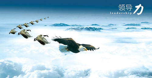 �ŷN����Ҫ���I(l��ng)��(d��o)��