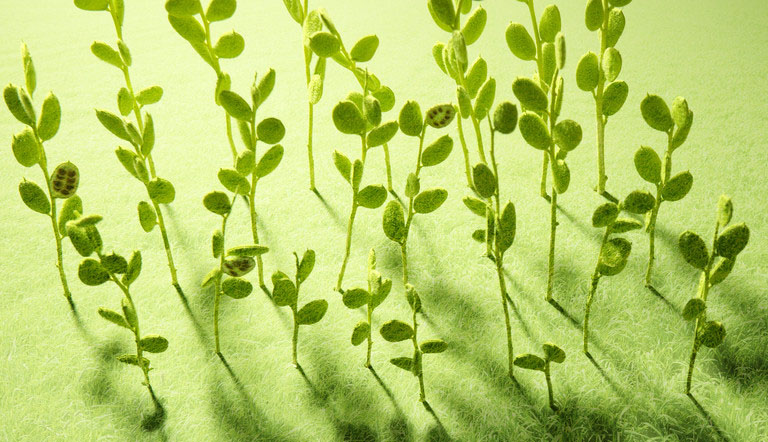 ���Ђ����I(l��ng)��(d��o)�߶��߂�����|(zh��)