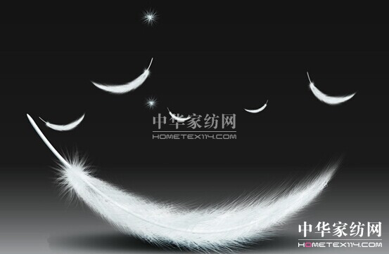 ϲ�Ձ��Ҽ�¡���Ƴ��ϵ���q��